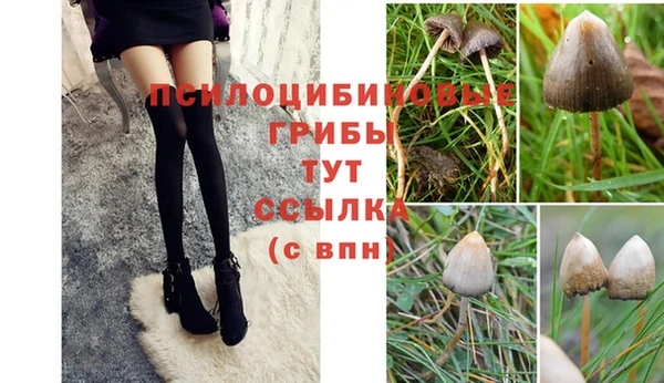 стафф Красноперекопск