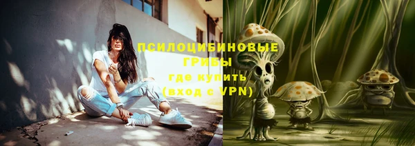 индика Краснотурьинск