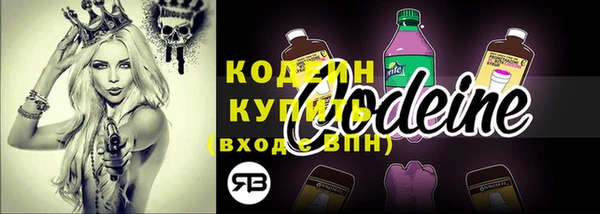 индика Краснотурьинск