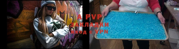 индика Краснотурьинск