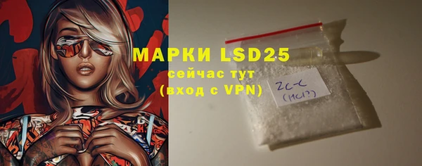 индика Краснотурьинск