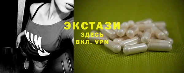 индика Краснотурьинск
