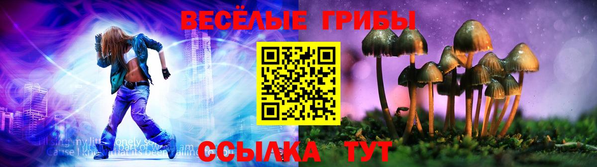 Галлюциногенные грибы ЛСД Сочи